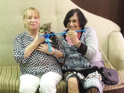 senior-members-with-the-kitty-cat senior-members-with-the-kitty-cat